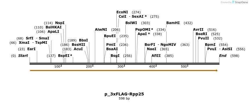 170170_map