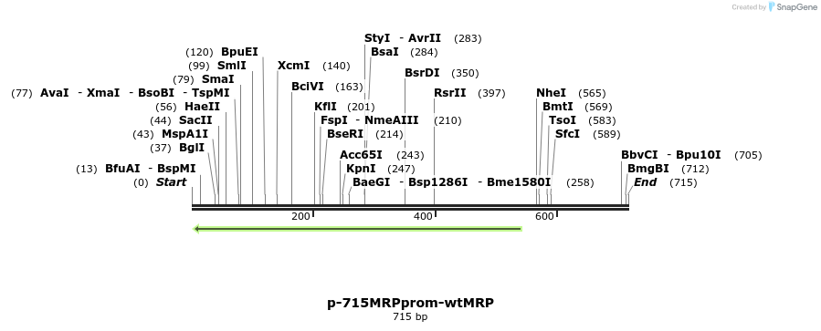 170180_map