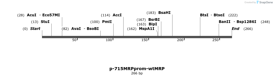 170181_map