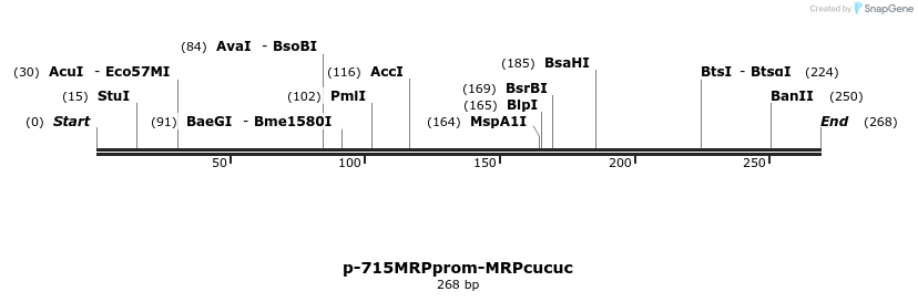 170184_map