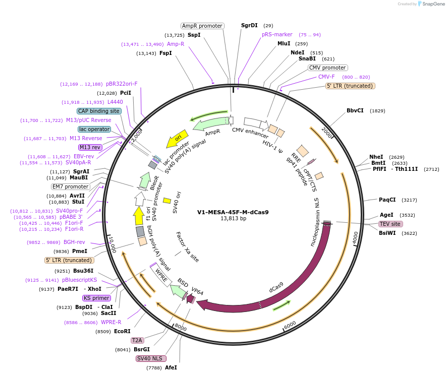 170198_map