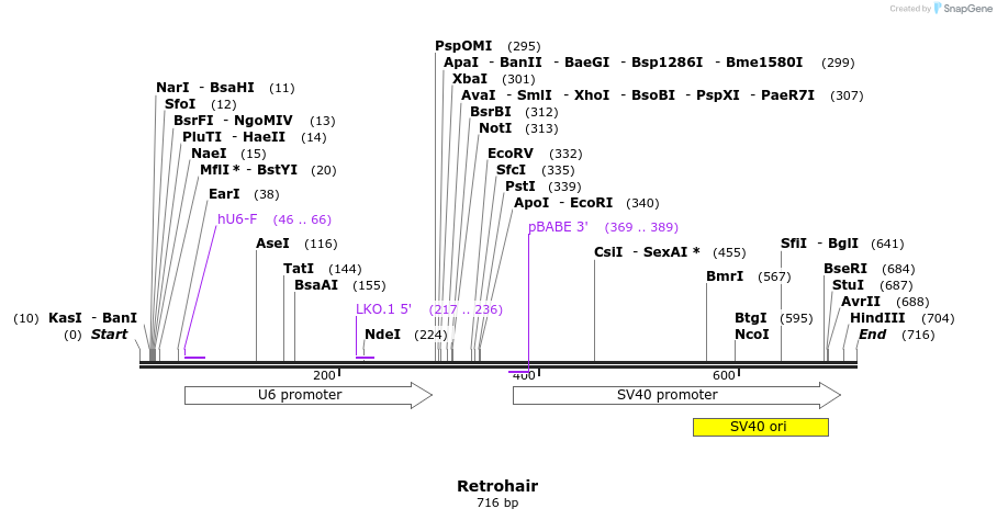 17022_map