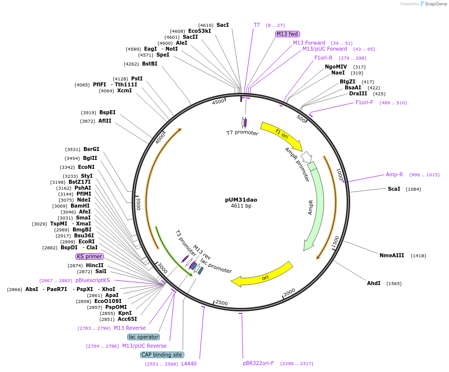 170244_map