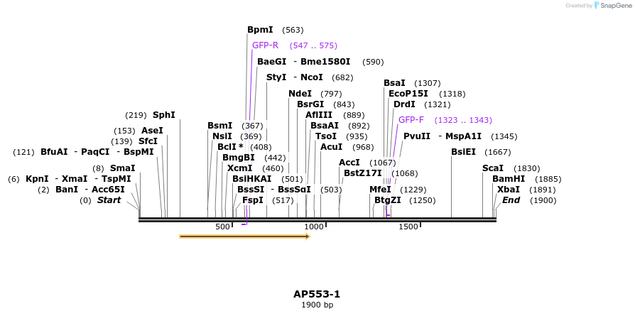 170245_map