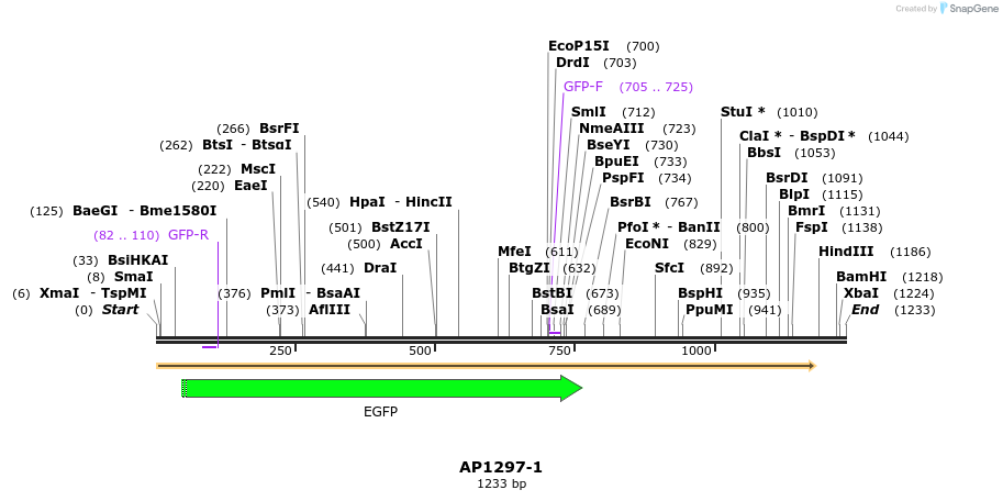 170247_map
