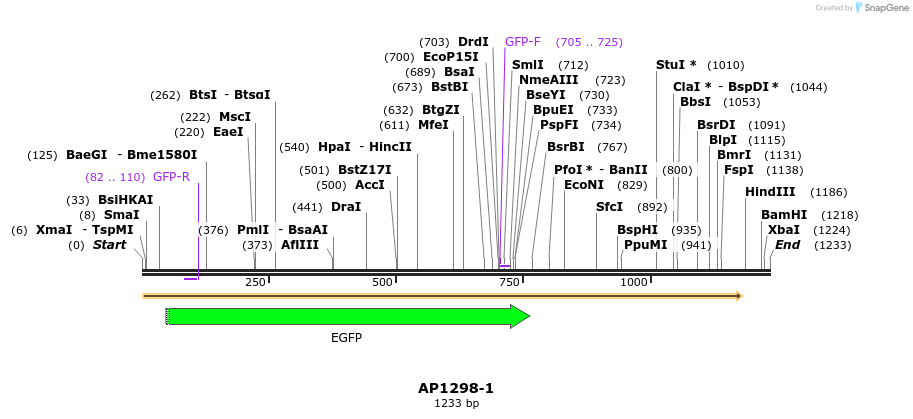 170248_map