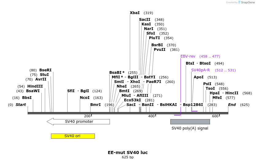 17027_map