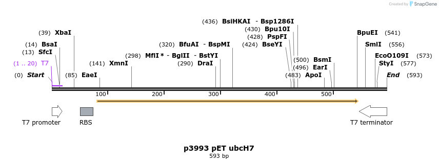 170271_map