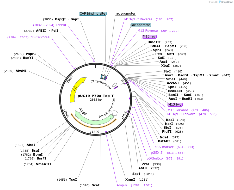 170328_map