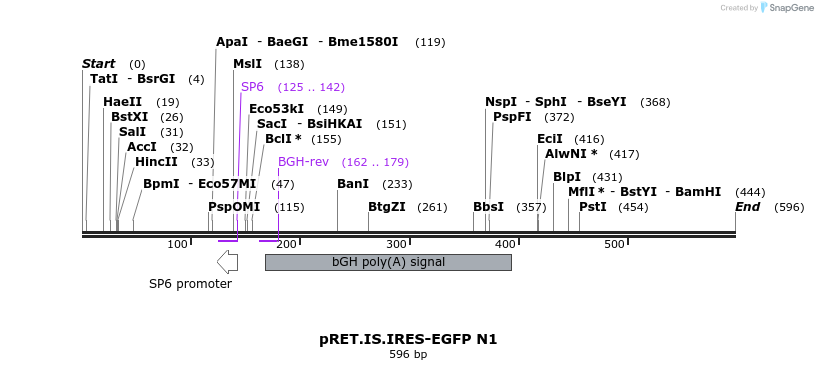 17033_map