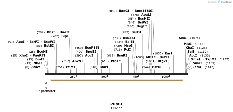 170334_map