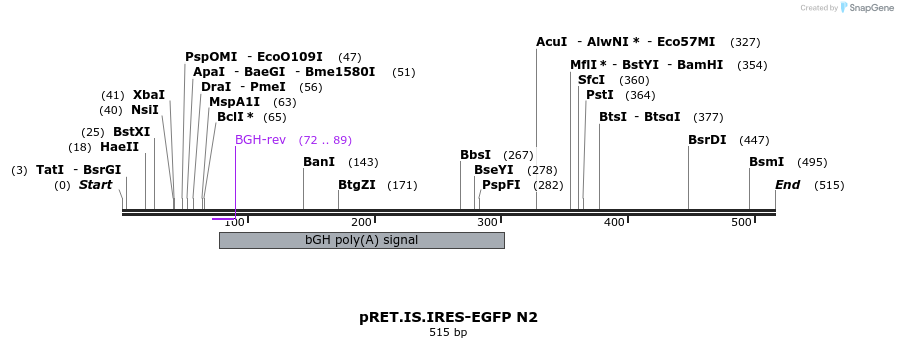 17034_map