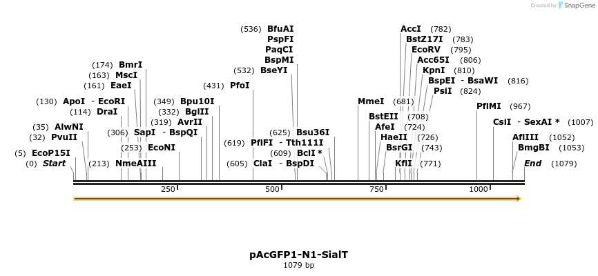 170340_map