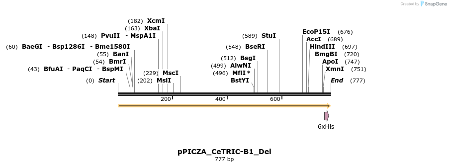 170355_map