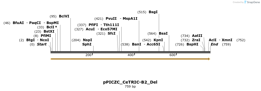 170356_map