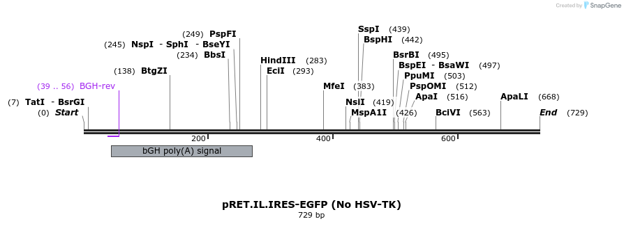 17036_map