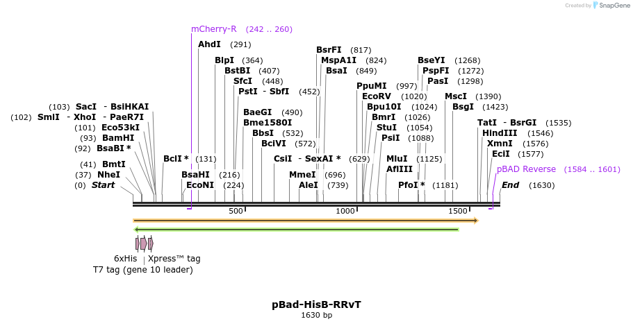 170369_map