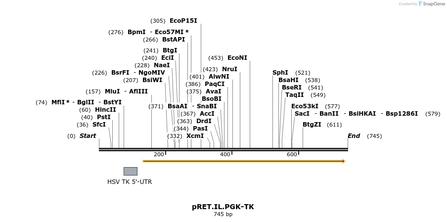 17037_map