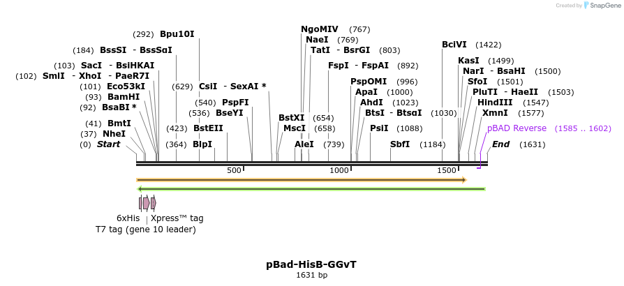 170371_map