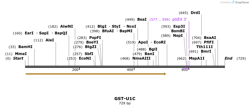 17038_map