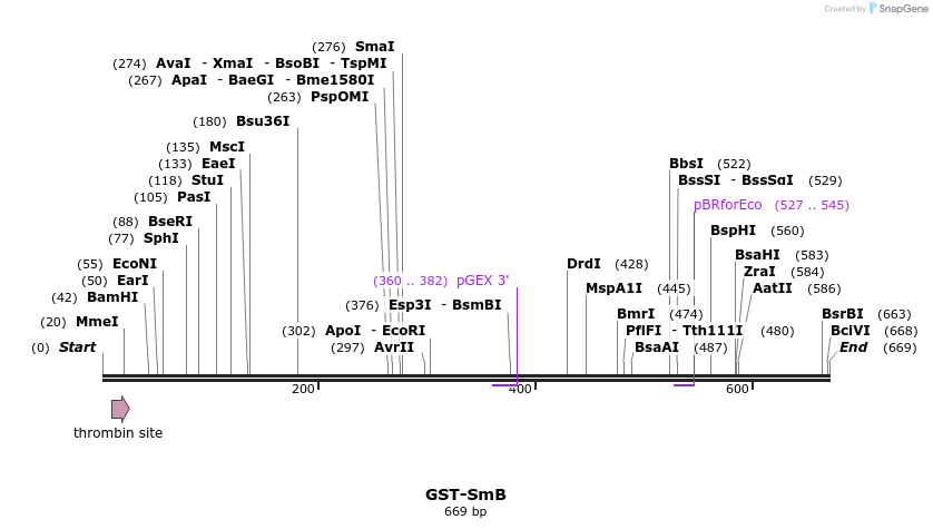 17039_map