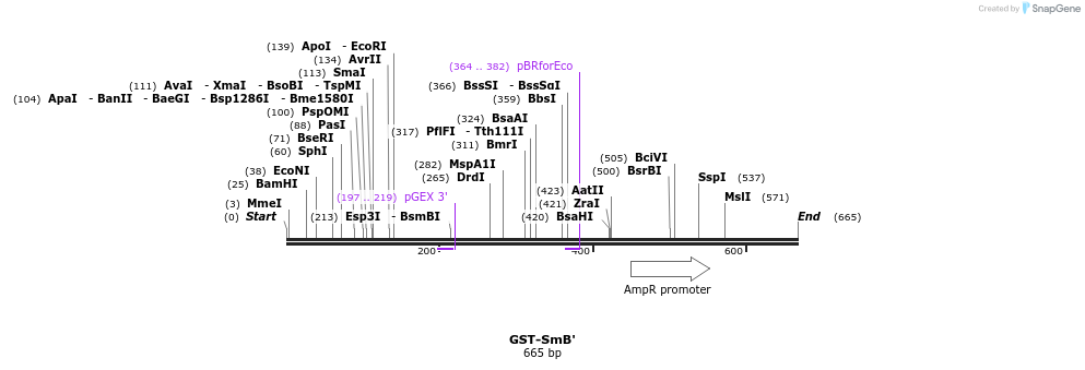 17040_map
