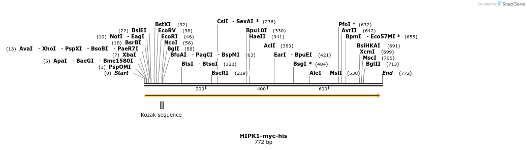 17043_map