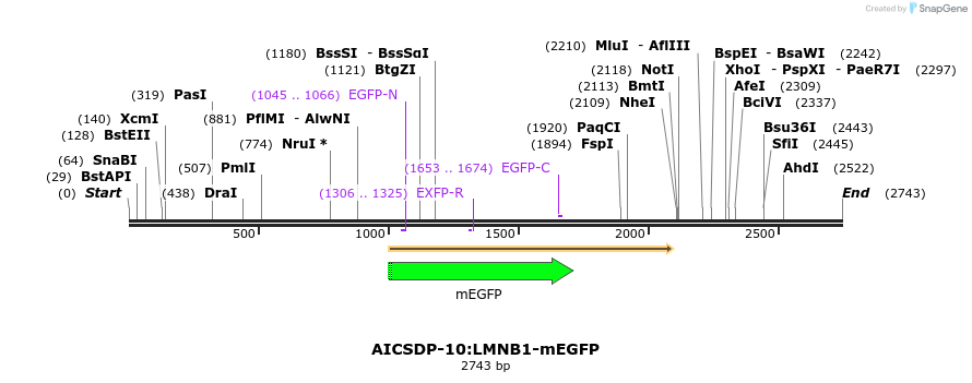 170442_map