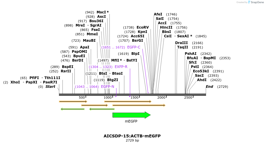 170445_map
