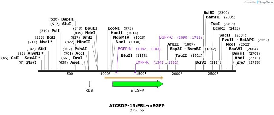 170447_map