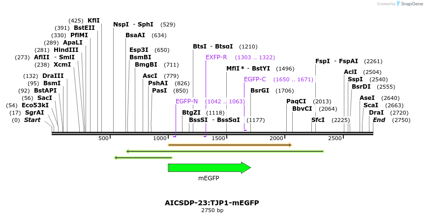 170449_map