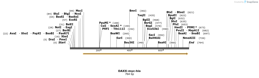 17045_map