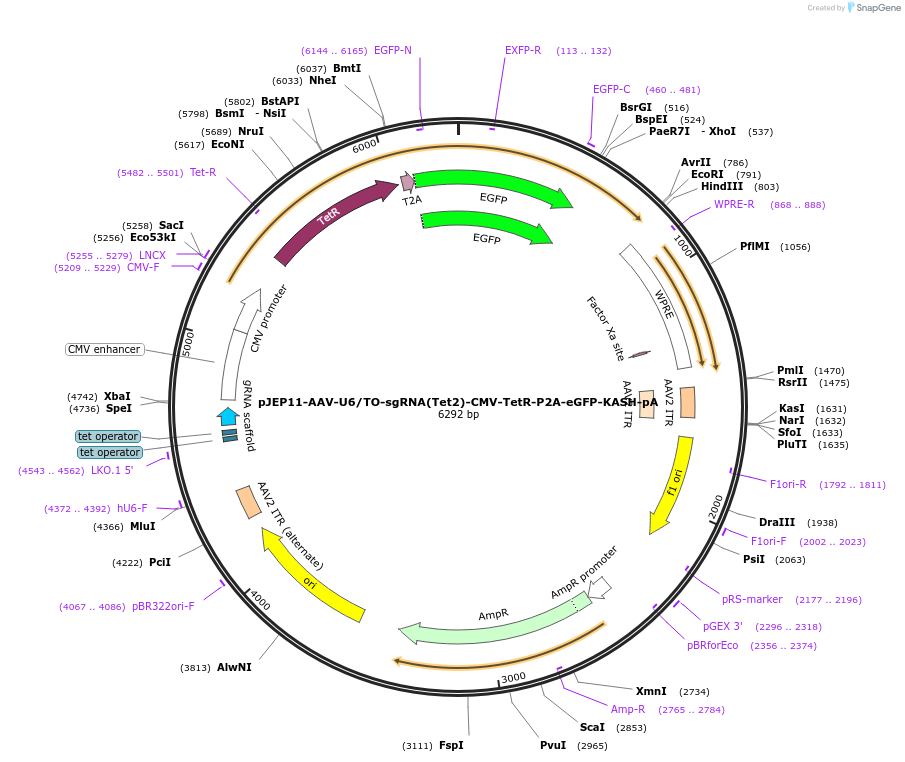 170450_map