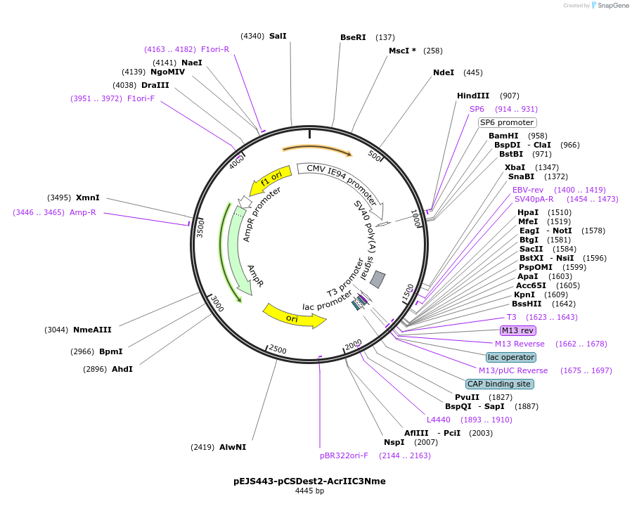 170453_map