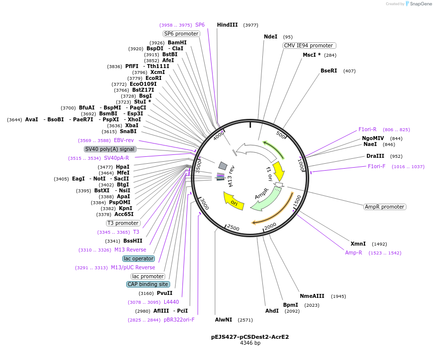 170455_map