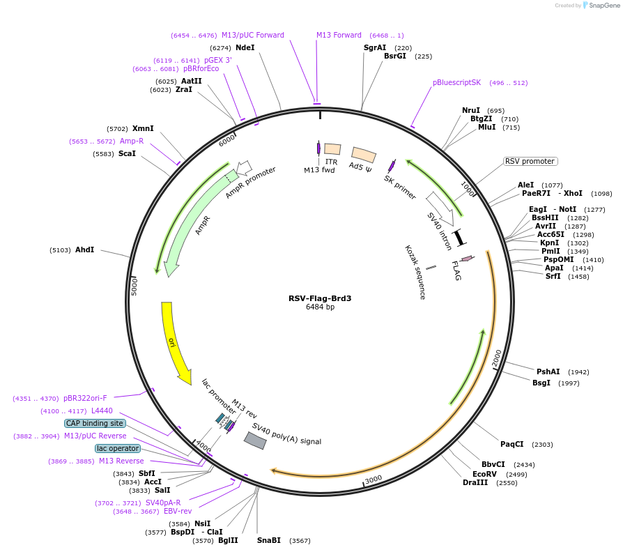 170460_map