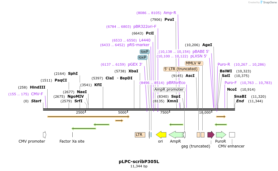 170462_map