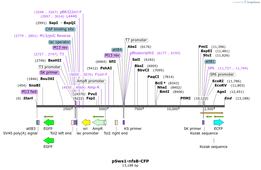 170471_map