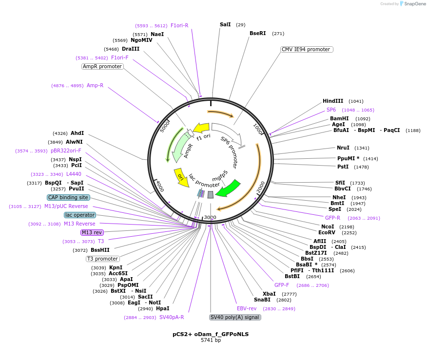 170478_map
