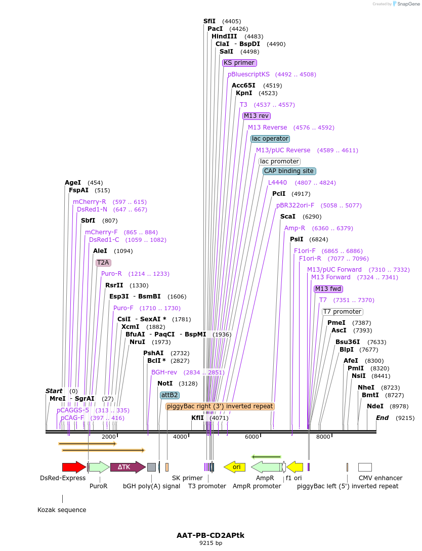 170483_map