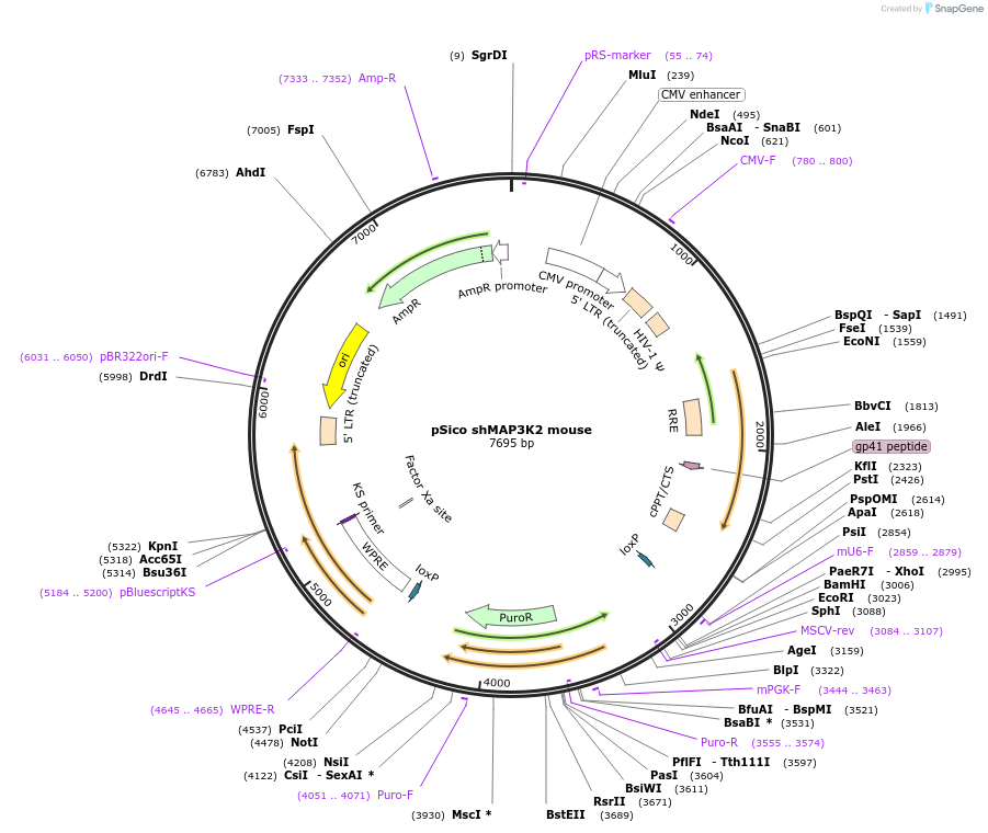 170490_map