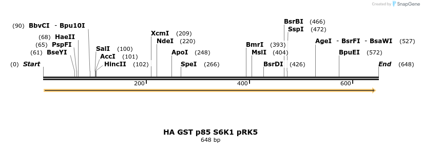17050_map