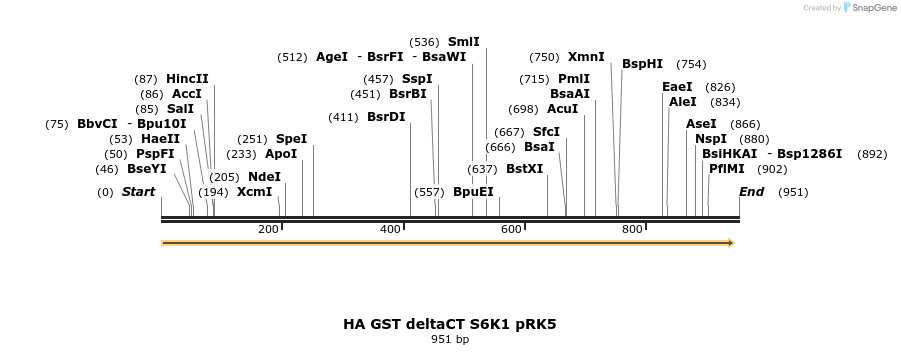 17052_map