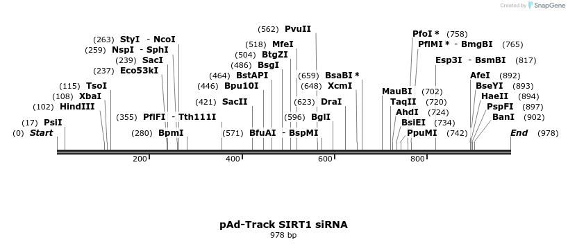 17054_map
