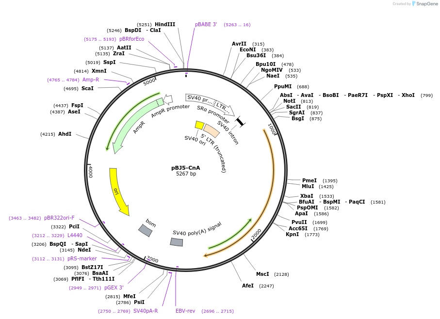 170542_map