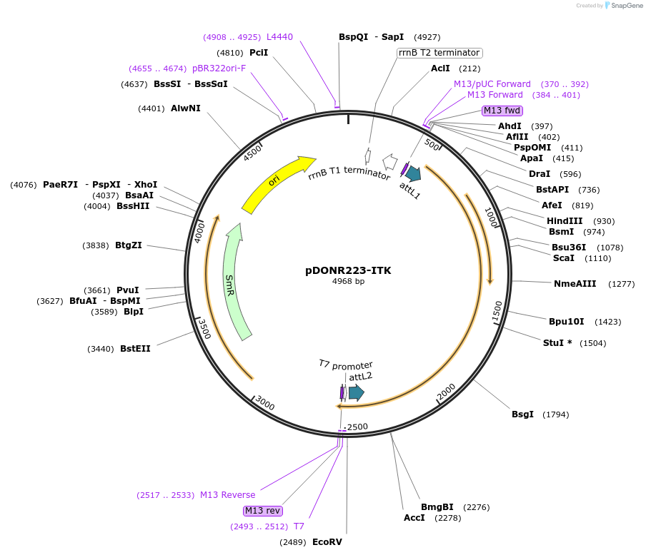 170545_map