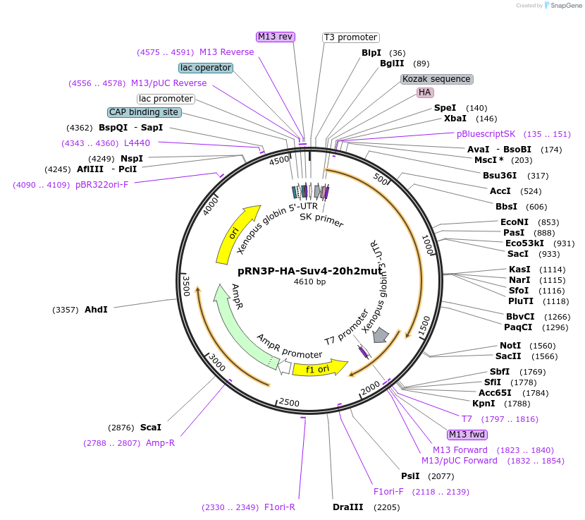 170547_map