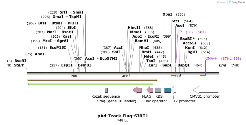 17055_map