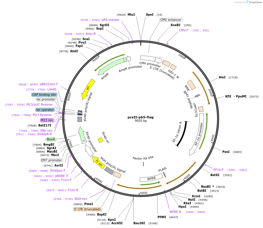 170559_map