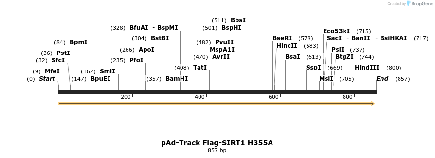 17056_map